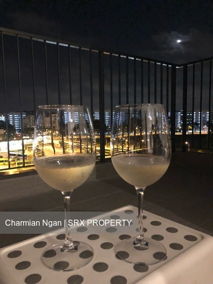 North Park Residences (D27), Apartment #208599611